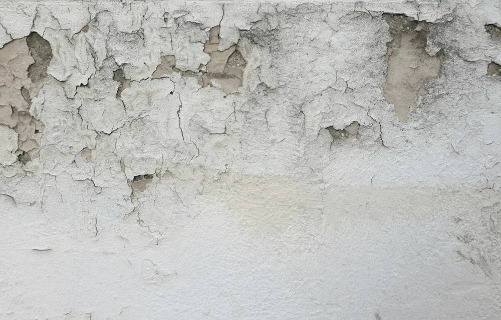 Nem yüzünden kabarıp dökülen boya ve sıva
